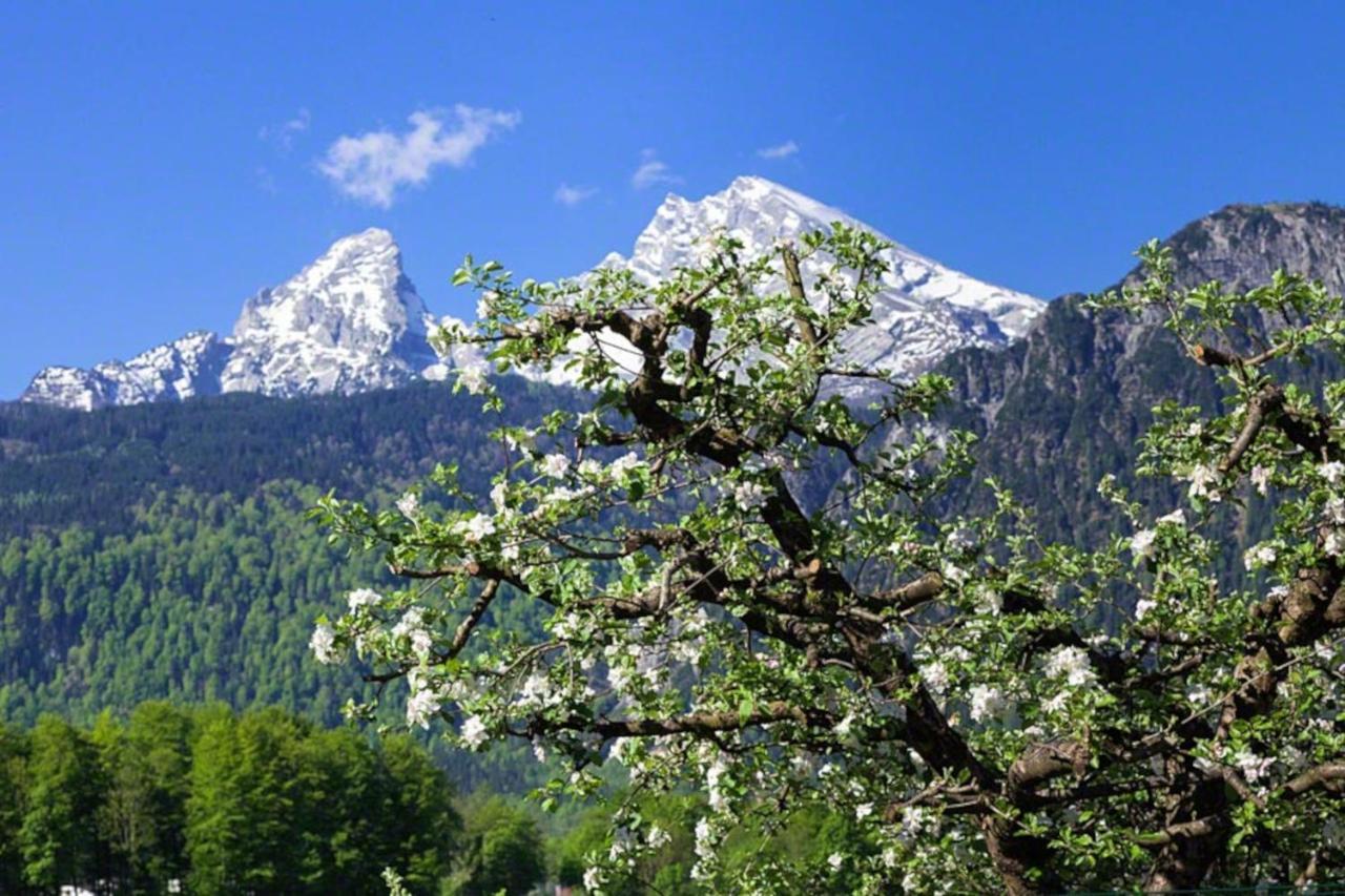 Triembachhof Villa Schoenau am Koenigsee Luaran gambar
